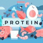 Proteine sind überlebenswichtig