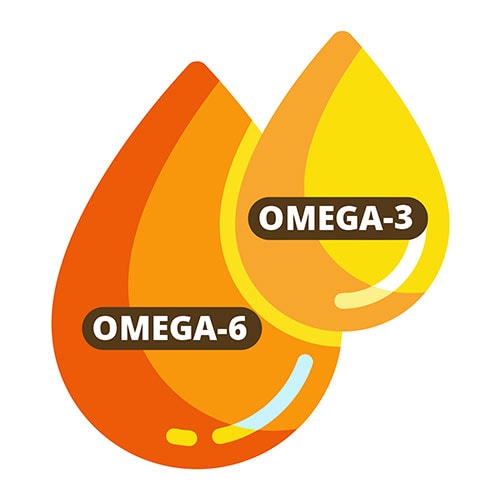 Verhältnis von Omega 3 zu Omega 6