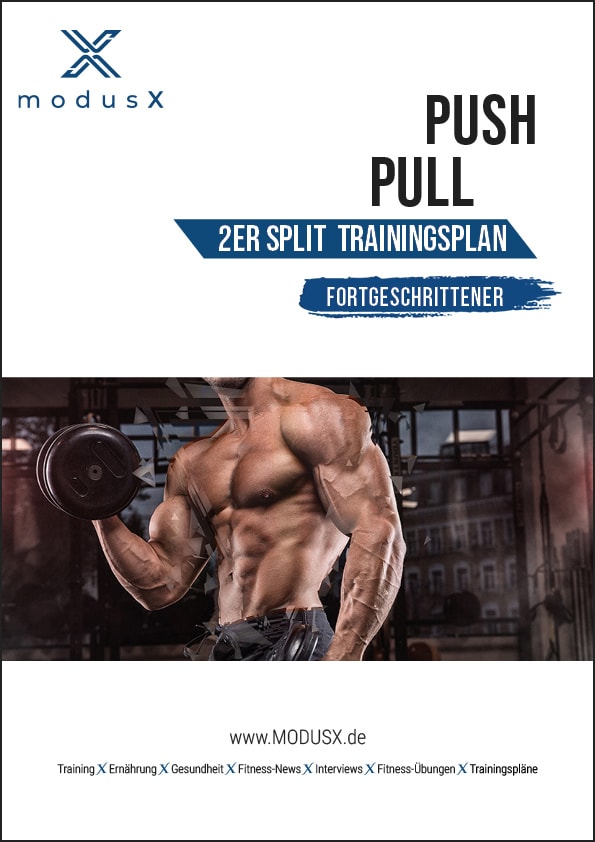 PUSH / PULL Trainingsplan für Fortgeschrittene