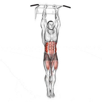 Beinheben hängend für die seitlichen Bauchmuskeln