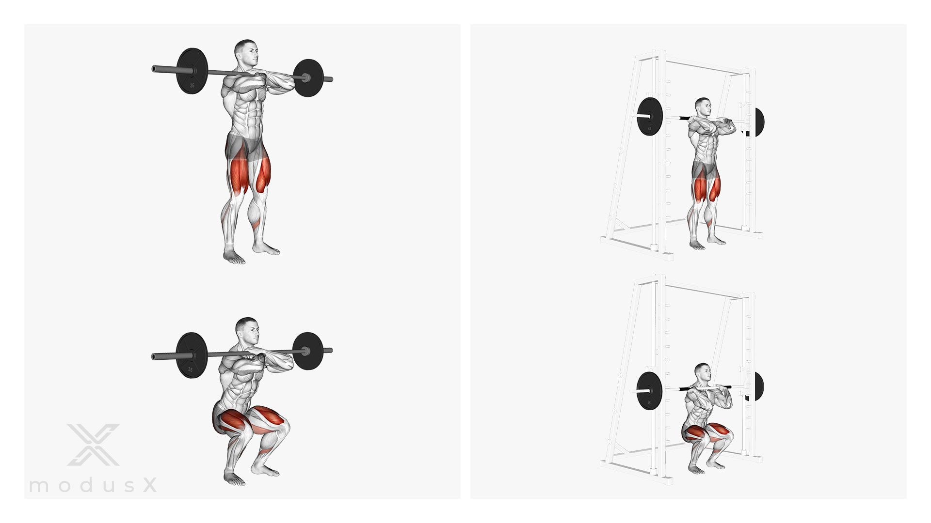 Front Squats / Frontkniebeuge