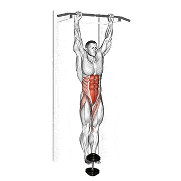 Beinheben hängend für die geraden Bauchmuskeln mit Gewicht