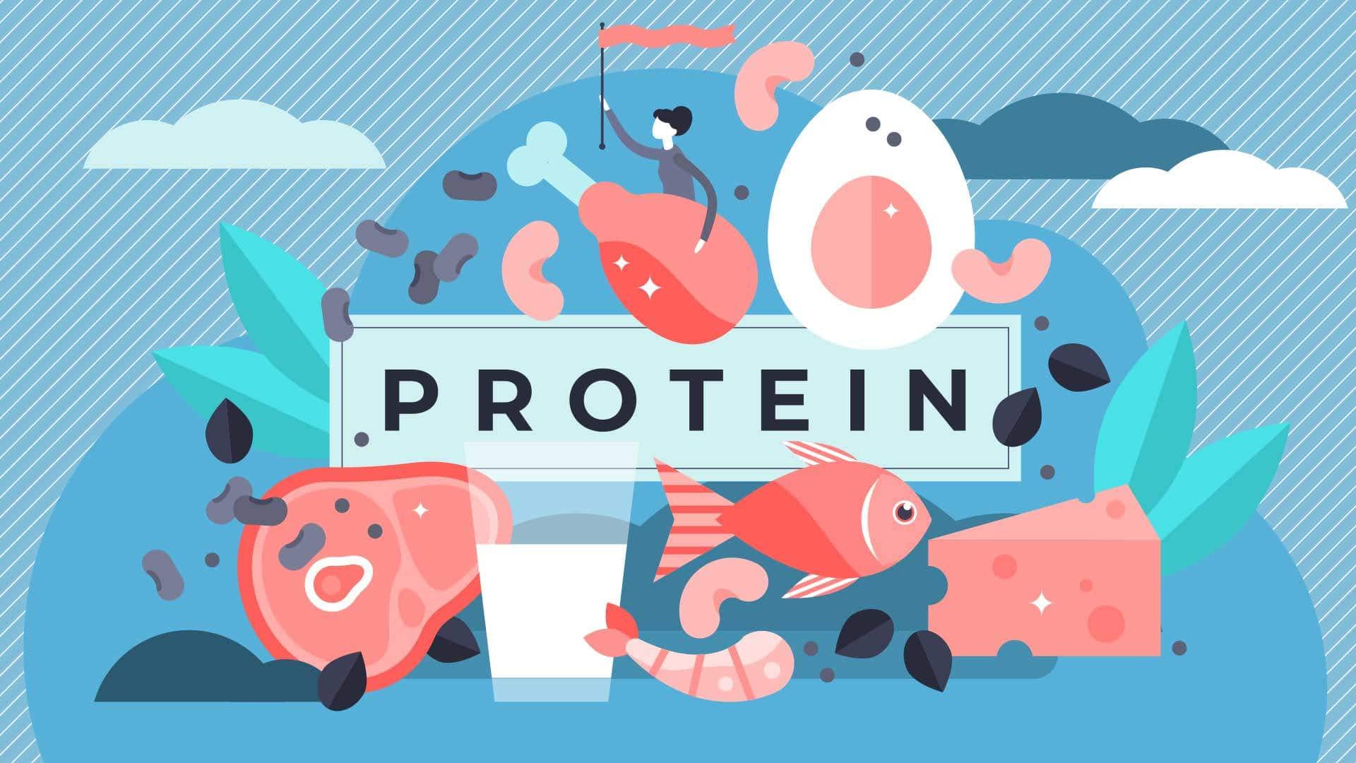 Bild zum Thema Eiweiß/Protein: Warum du unbedingt Eiweiß aufnehmen musst