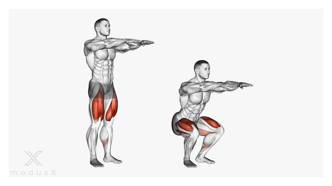Bild zum Thema Kniebeugen ohne Gewicht / Air Squat