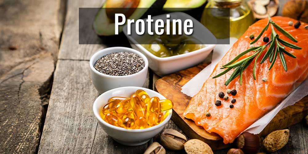 Makronährstoffe Proteine