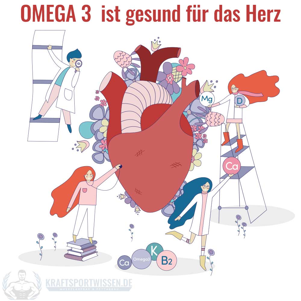 Omega 3 gesund für das Herz