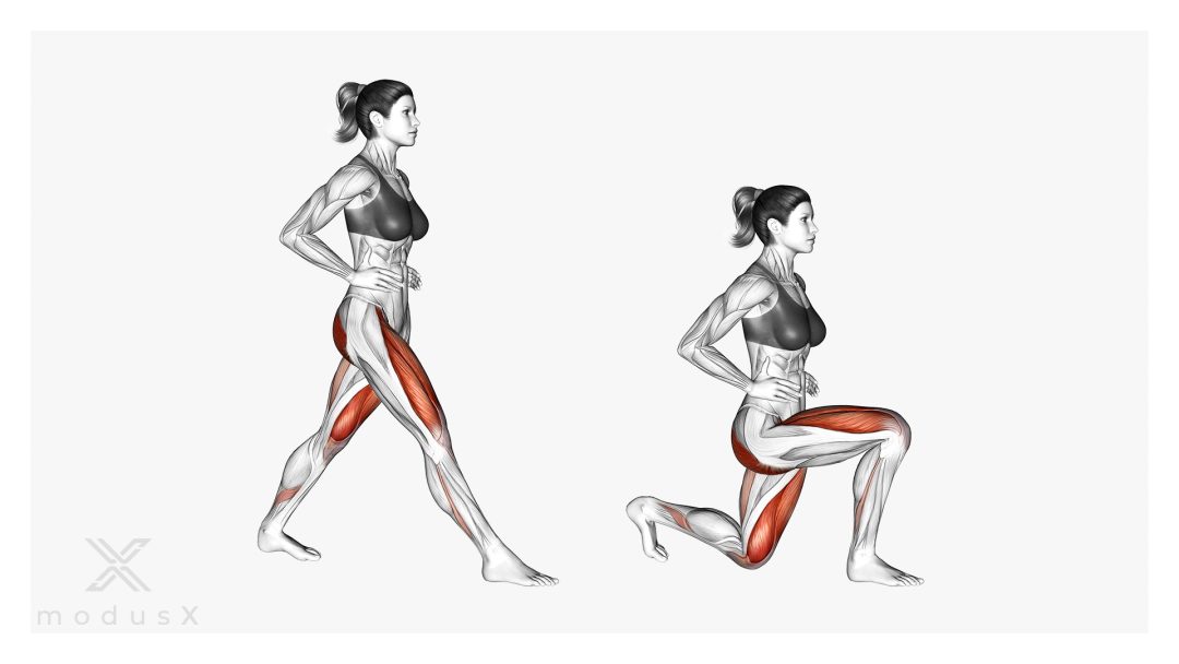 Standard Lunges