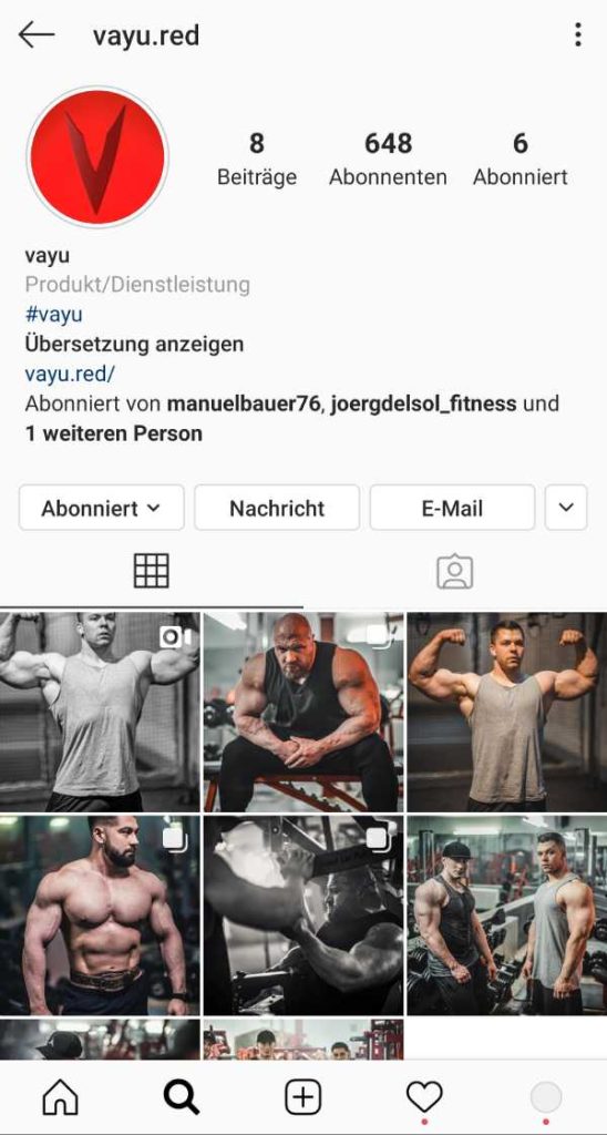 vayu.red Instagram Profil Screenshot